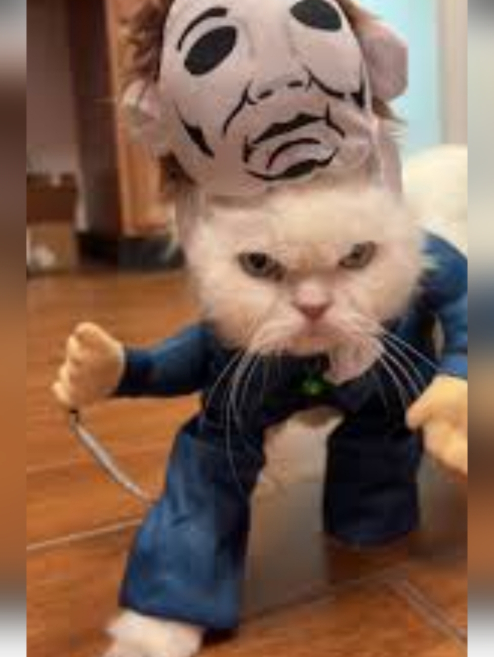 Novelty Cat Costume - Blue Pet Outfit with White Plush Mask